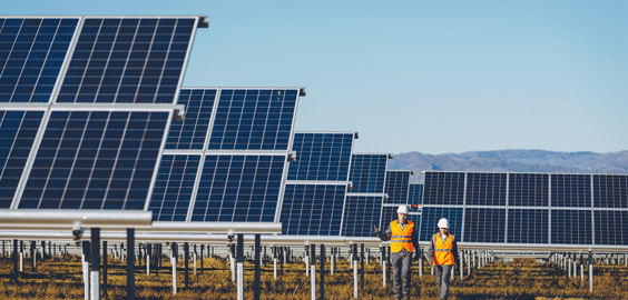 Photovoltaic cells with engineers walking by