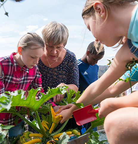 Holiday activities and food programme