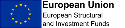 European Union Logo