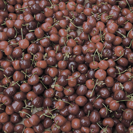 NUTRAN - Effects of Montmorency Cherries