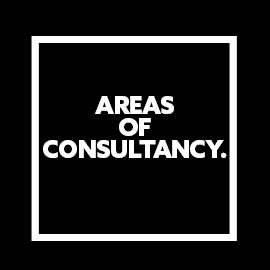 AREAS  OF CONSULTANCY.