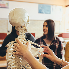 Teacher showing her class the upper body of a skeleton 
