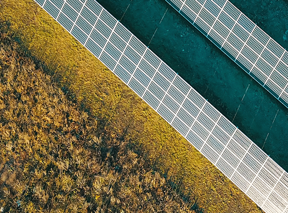 solar panels and grass