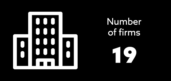 Student Law Office - Number of Firms