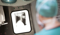 Mastering the Minimally Invasive: Interventional Radiology for the MDT