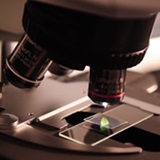 Applied Science 