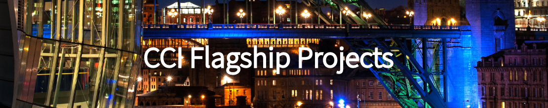 Flagship Projects Link Images