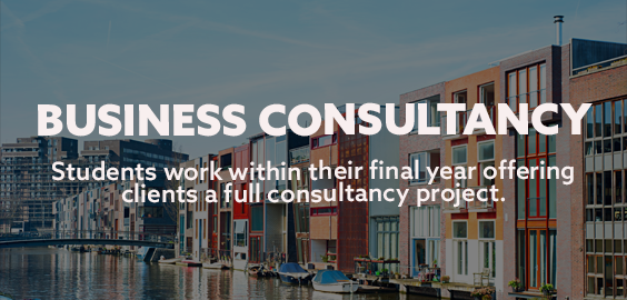 Amsterdam Business consultancy