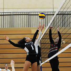 Applied Sport Science With Coaching Bsc Hons Degree