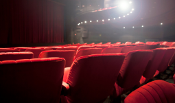 REVEAL Theatre and Performance 