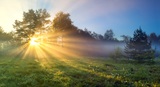 Field with trees and sun