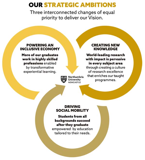 our strategic ambitions