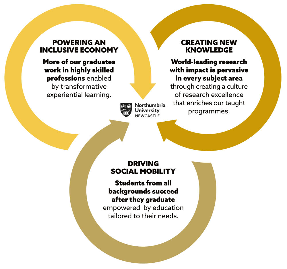 strategic ambitions infographic