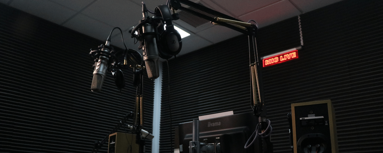 2 professional microphones