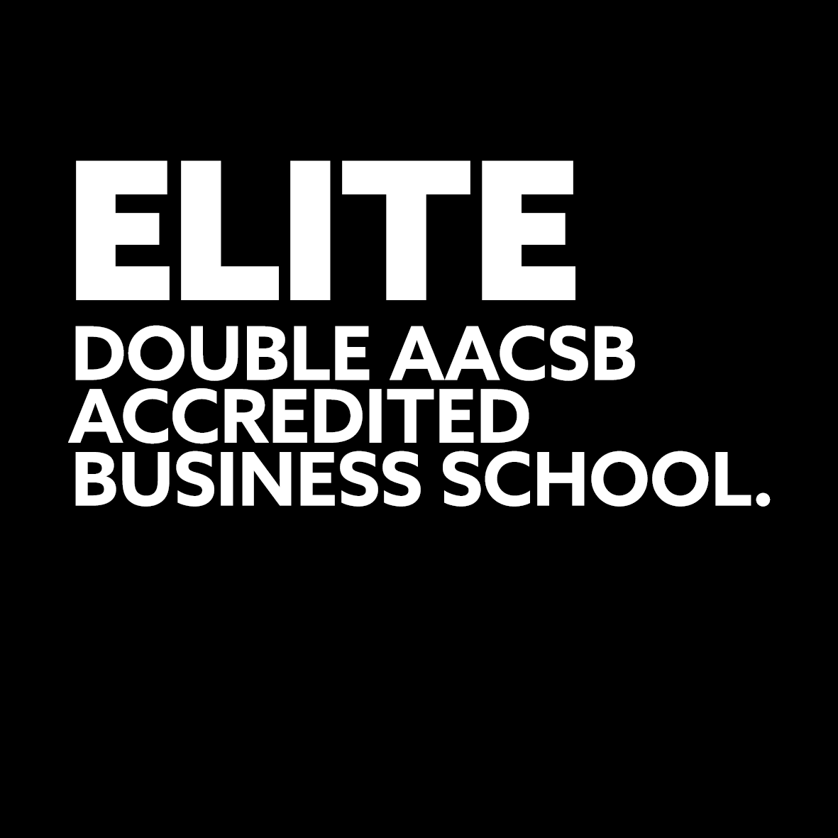 elite double aacsb accredited business school