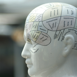 model head with labeled brain