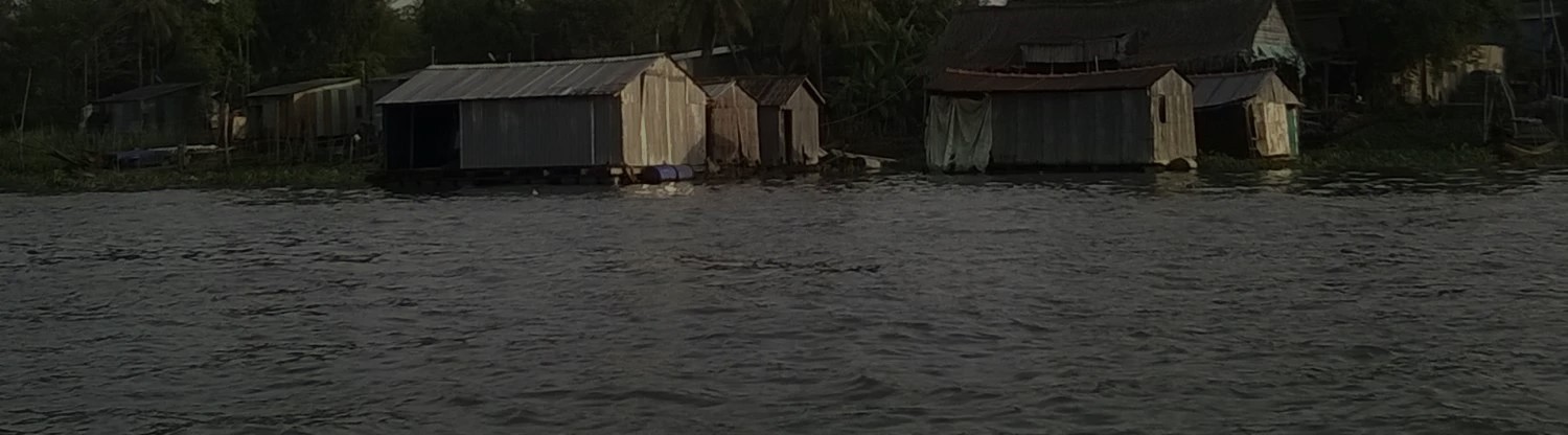Mekong delta flood