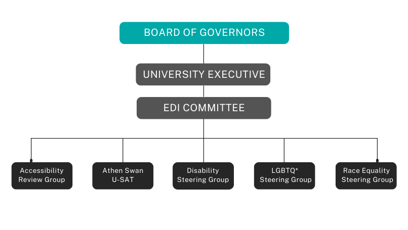 EDI Governance Structure