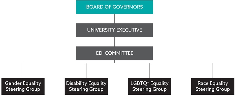 A graphic detailing the EDI Governance structure of the University. The four equality steering groups (Gender, Disability, LGBTQ* and Race) feed into the the EDI Committee, which feeds into University Executive, which feeds into the Board of Governors.