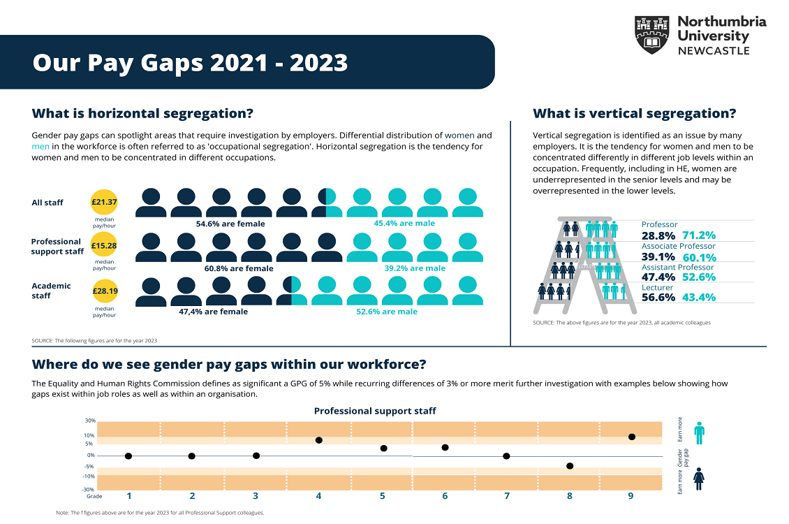 A graphic explaining what horizontal and vertical segregation is as well as where at Northumbria do we see gender pay gaps in our workforce