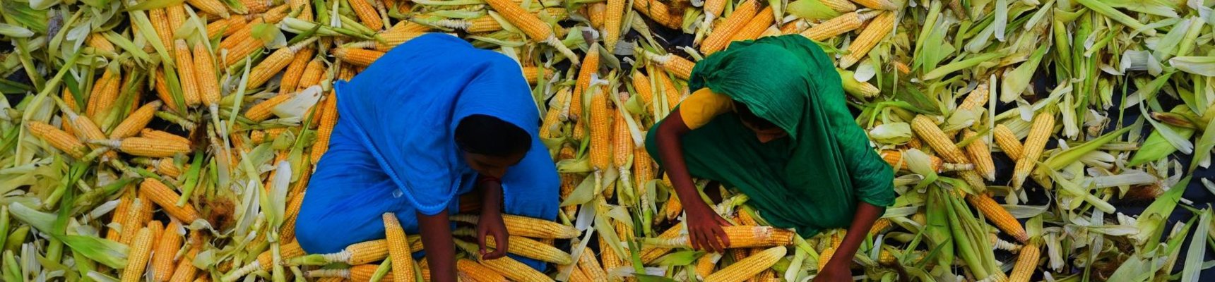 From sustenance to complete nourishment in a changing and uncertain climate