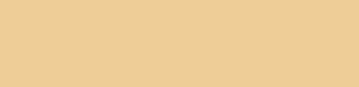 GVA PNG YELLOW COLOUR PALLET