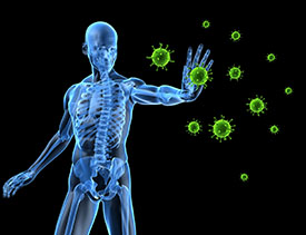 Immune System Web