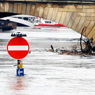 Disaster _management