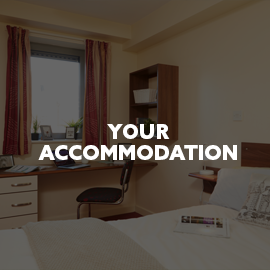 your accommodation