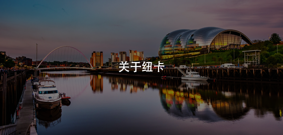 about newcastle