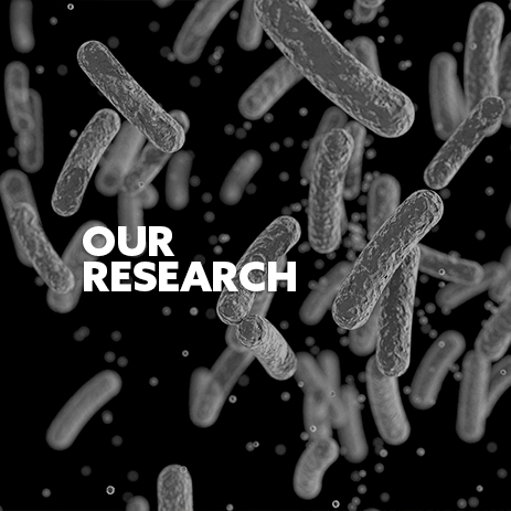 Bacteria image, with white text 'Our Research'