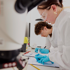 Two students carrying out an experiment in a lab.