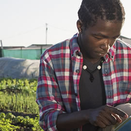 man using a tablet in a crop field