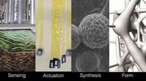 Caption: The faction of biohybrid materials through sensing, actuation, synthesis and form