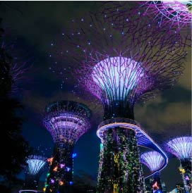 Photo shows Gardens by the bay in Singapore