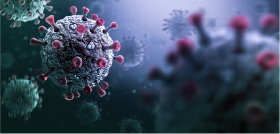 bacteria