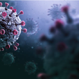 bacteria