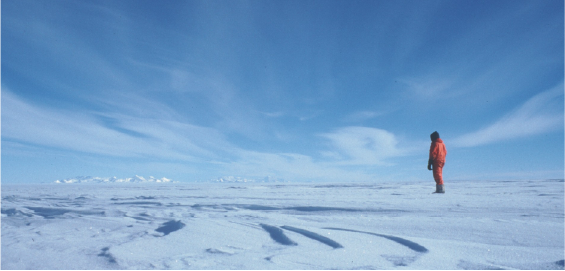 person in snow