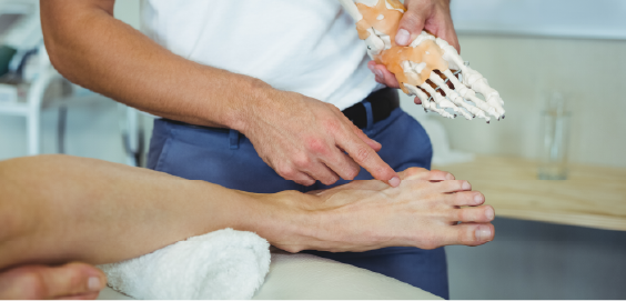 somebody holding a skeleton foot whilst pointing at a human foot