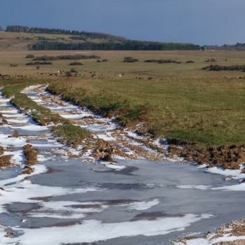 Caption: Frozen puddles in tank tracks on Salisbury Plain, Wiltshire. Martin Hibberd/Shutterstock