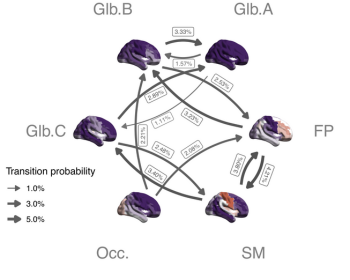Caption: A typical pattern of transitions between the six brain states identified in the study.