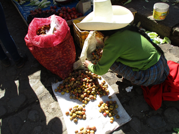 Caption: Women participants in the north of Peru captured images of everyday activities such as selling crops in the market, as examples of valued alternatives to large scale resource extraction.