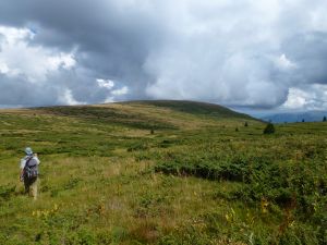 CAPTION: A mountain peat environment in Serbia