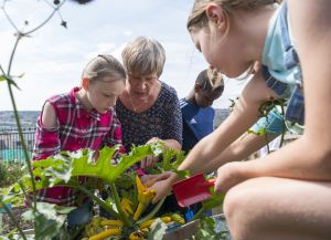 Caption:Prof. Greta Defeyter with children growing vegetables at Bridgewater Primary School holiday club