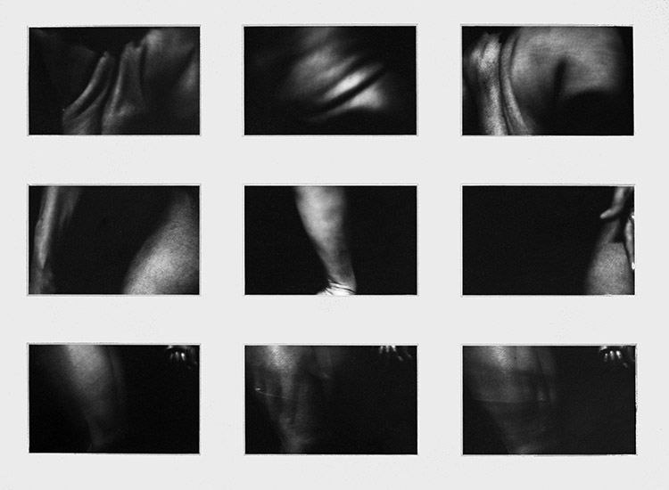 Caption: Artwork by Dr Ingrid Pollard - Copyright Ingrid Pollard, Not for commercial use