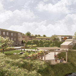 The Nature of Therapy by Amelia Swaby