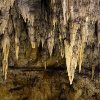 Caption: Stalagmites formed in the distant past contain clues about the ancient climate.
