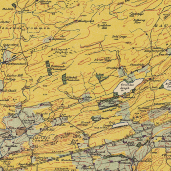 Caption: Henshaw Common, Northumberland, prior to its purchase and plantation by the Forestry Commission as the southernmost extent of Wark Forest. The new study determined that woodland cover in Britain increased from 6% to 12% over the last 75 years (Copyright: Giles Clark, CC-BY-NC-SA).