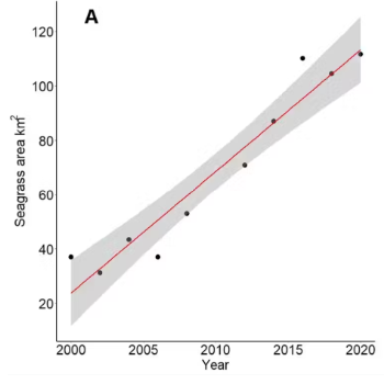 Caption: (A) Trends in overall seagrass extent in the Maldives from 2000-2021