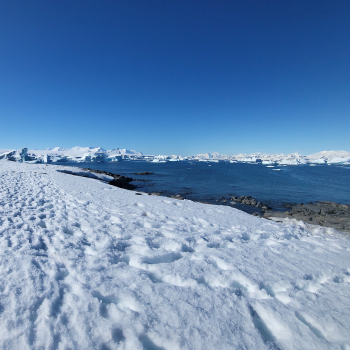 Caption: The UK Centre for Polar Observation and Modelling (CPOM), based at Northumbria University, has been awarded over £400,000 by the European Space Agency to investigate tipping points in the Earth’s icy regions with a focus on the Antarctic. Photo by Professor Andrew Shepherd.